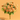Bouquet de Roses Orange Clair