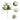 Bouquet de Roses Vertes