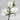 Branche De Magnolia Blanche (Lot de 3)