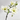 Branche De Magnolia Blanche/Vert (Lot de 3)