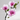 Branche De Magnolia Violette (Lot de 3)