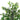Ficus Artificiel Avec Pot