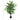 Ficus Artificiel Avec Pot