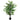Ficus Artificiel Avec Pot