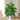 Palmier Monstera Artificiel
