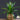 Plante Tropicale Artificielle