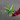 Plante Tropicale Artificielle - 50cm 12 Feuilles
