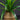Plante Tropicale Artificielle