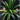 Plante Tropicale Artificielle