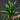 Plante Tropicale Artificielle