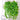 Plantes Grimpantes Vert Artificielle