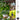 Pots de Fleurs Suspendu Moderne