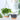 Pots de Fleurs Suspendu Moderne