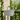 Pots De Fleurs Suspendu Gris