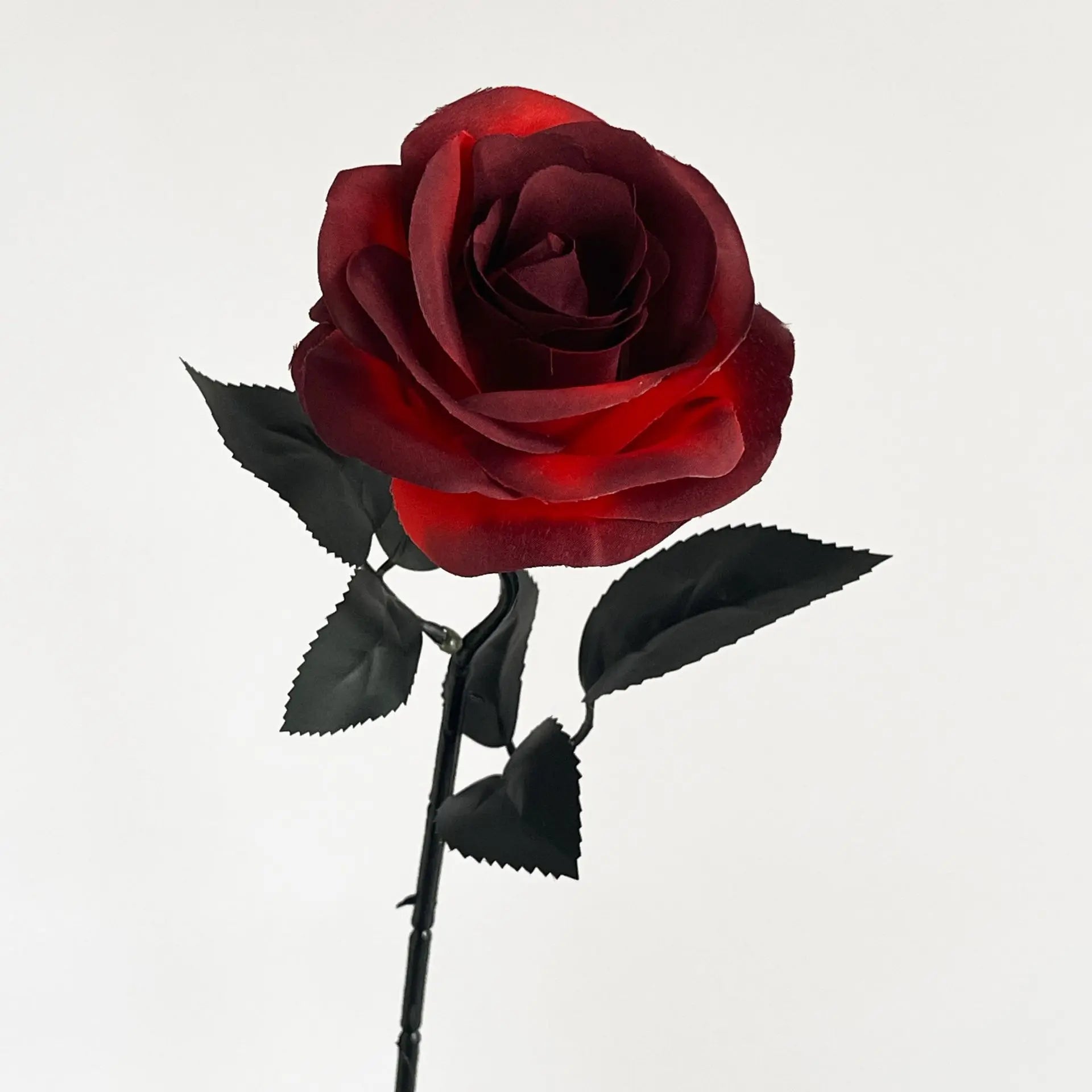 Bouquet de Roses Noires et Rouges