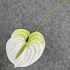 Branche d’Anthurium Tropical Blanche Artificielle