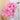 Branche De Cerisier Rose Artificiel (1 pièce)