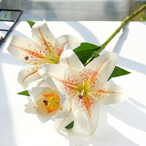Branche de Lys Champagne (3 têtes)