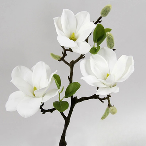 Branche De Magnolia Blanche (Lot de 3)