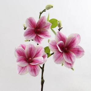 Branche De Magnolia Rose/Rouge (Lot de 3)
