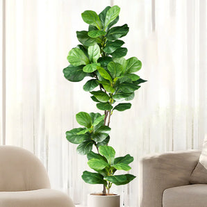 Ficus Artificiel