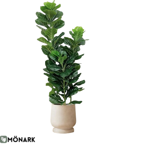 Ficus Vert Sans Pot (Branche) - 100cm