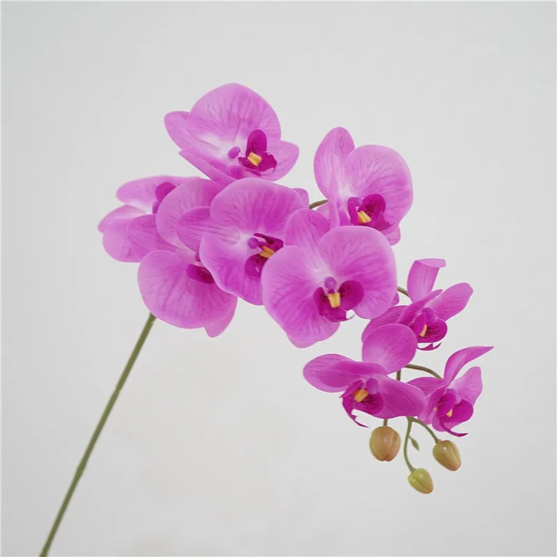 Orchidée Violette Claire