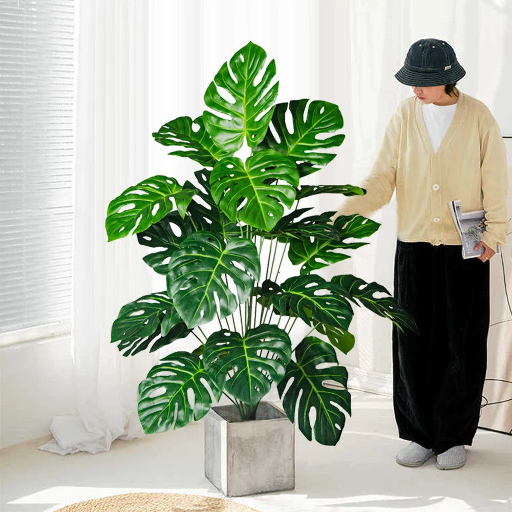 Palmier Monstera