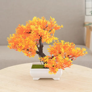 Petit Bonsai Orange