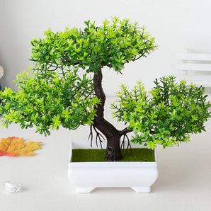 Petit Bonsai Vert