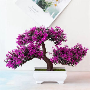 Petit Bonsai Violet