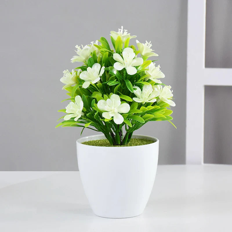 Plante Bonsaï Blanc