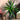 Plante Tropicale Artificielle