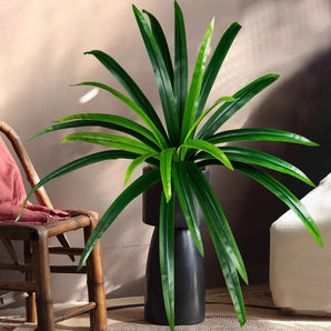 Plante Tropicale Artificielle