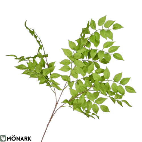 Plante Vert Clair En Soie Artificielle