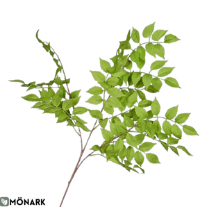 Plante Vert Clair En Soie Artificielle