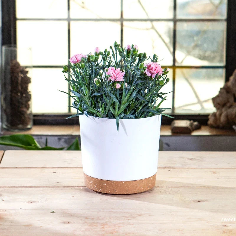 Pot de Fleur Moderne Blanc