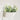 Pots De Fleurs Suspendu Blanc