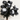 Bouquet de Roses Noires et Blanches